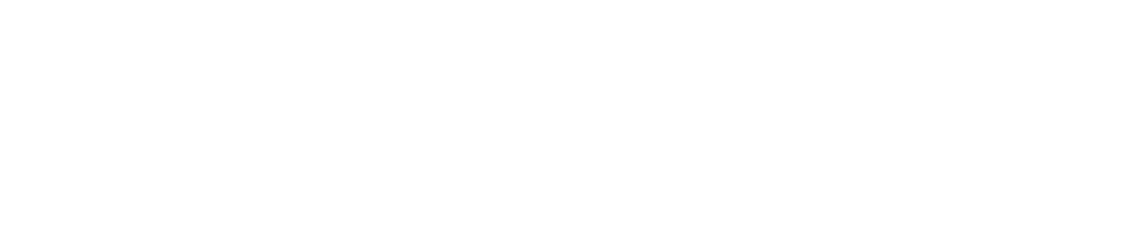 Addo AI